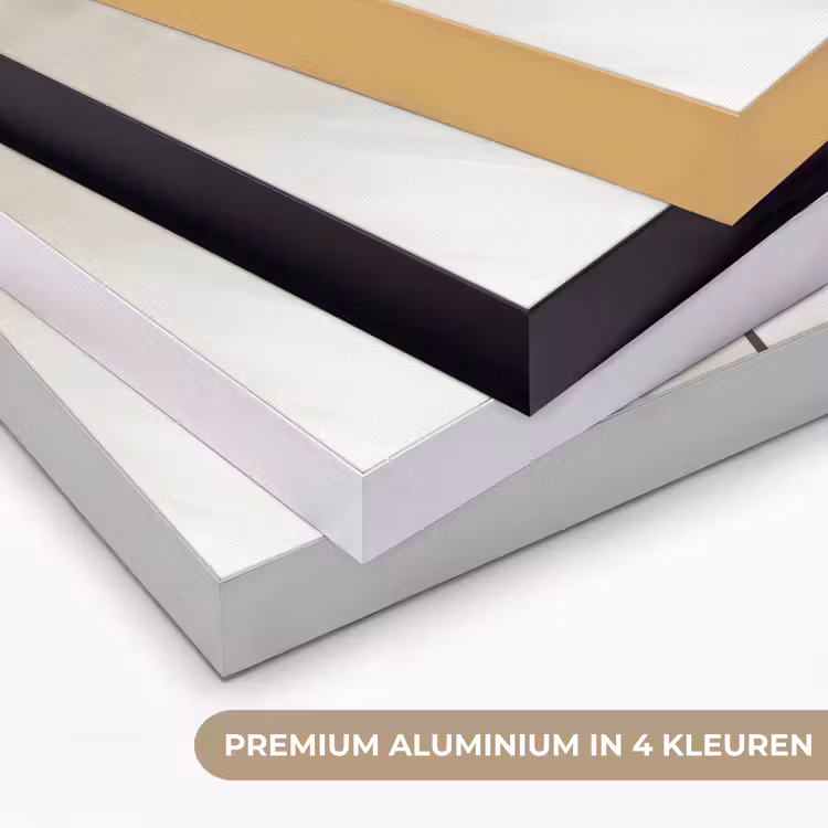 Bloem - Beige - Verf - Schaduw Textielframe zwart klein -USP_kleurenNL