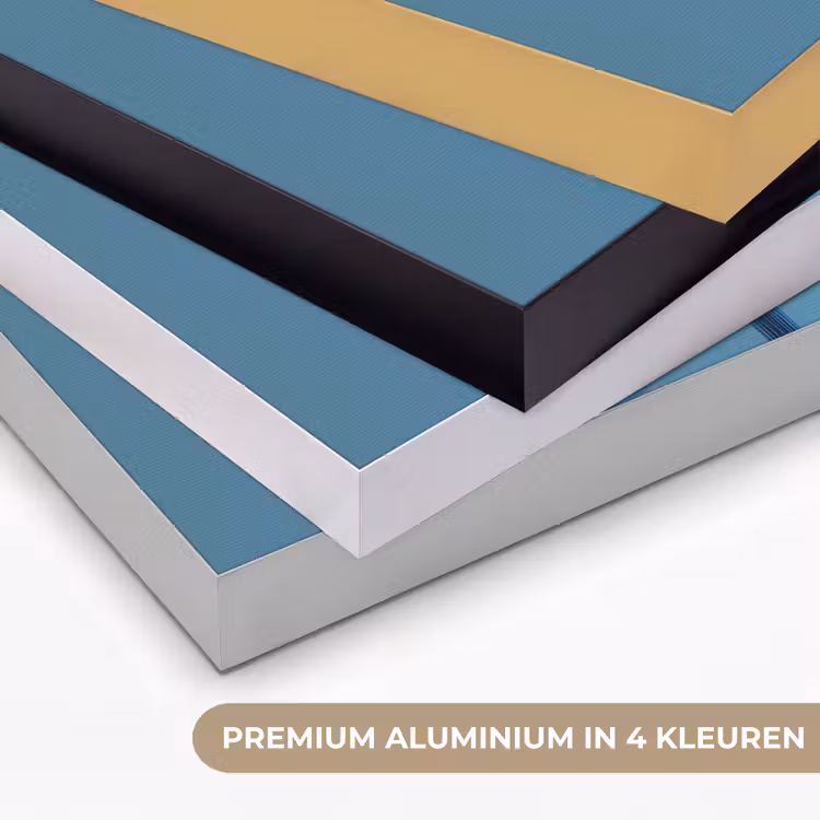 Bloem - Blauw - Bloemblaadjes - Streepjes Textielframe zwart klein -USP_kleurenNL