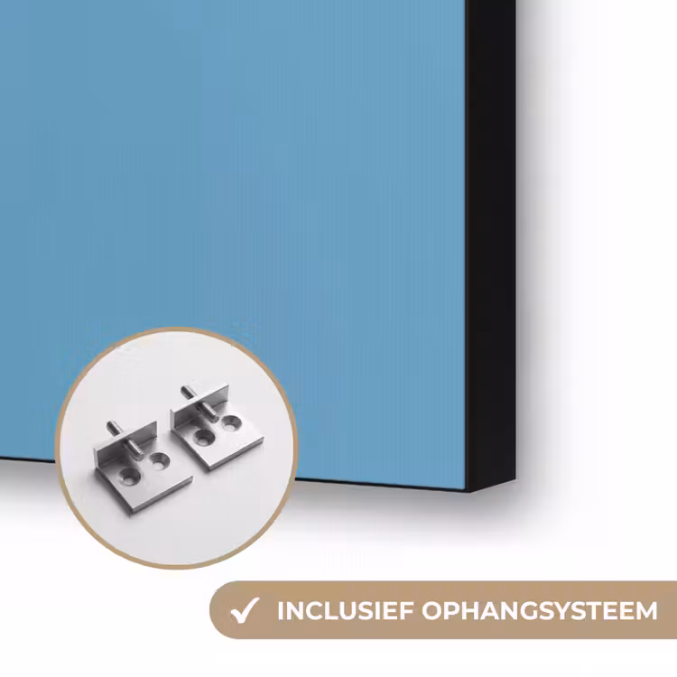 Bloem - Blauw - Bloemblaadjes - Streepjes Textielframe zwart klein -USP_ophangsysteemNL