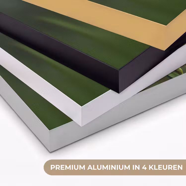 Bloem - Gladiolen - Zalmroze Textielframe zwart klein -USP_kleurenNL