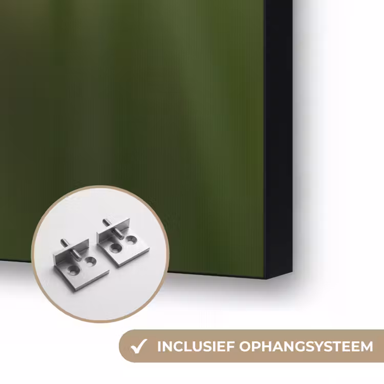 Bloem - Gladiolen - Zalmroze Textielframe zwart klein -USP_ophangsysteemNL
