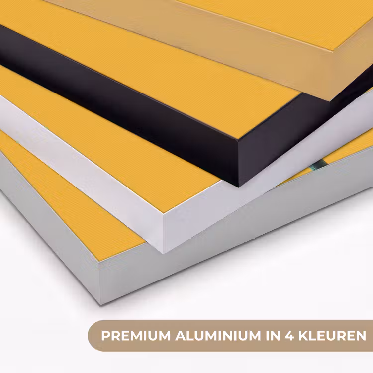 Bloem - Rood - Stippen Textielframe zwart klein -USP_kleurenNL