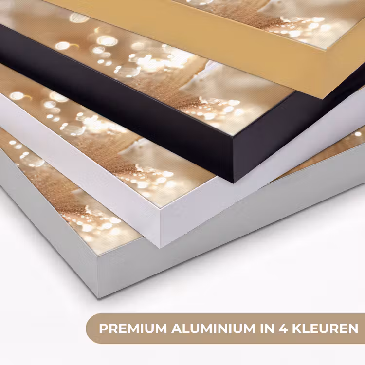 Bloem - Wit - Glitter - Goud - Modern Textielframe zwart klein -USP_kleurenNL