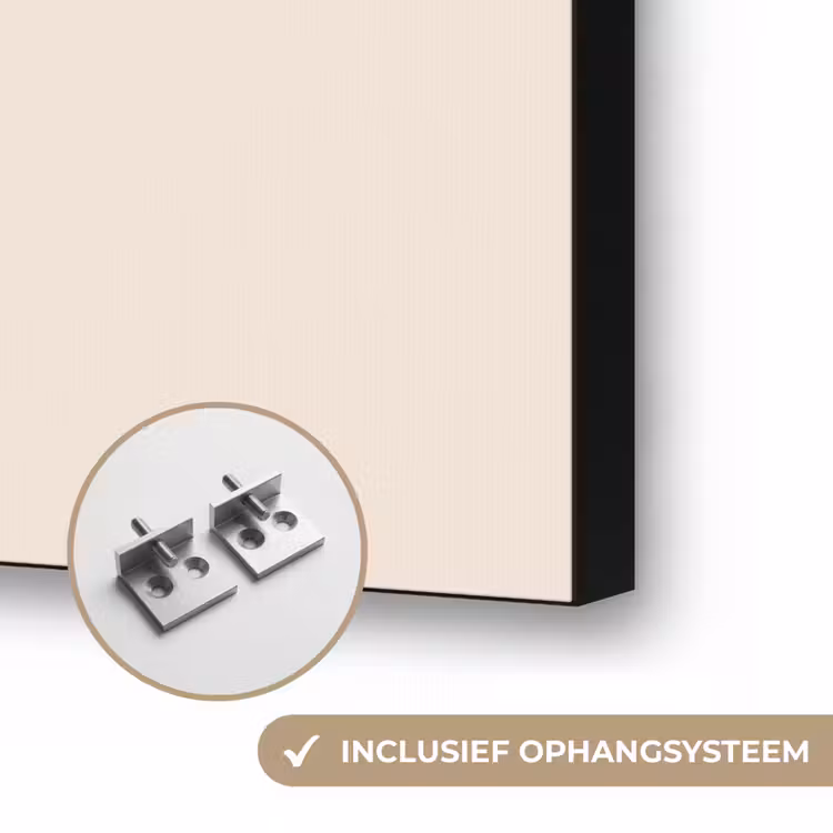 Bloem - Wit - Vaas - Quote Textielframe zwart klein -USP_ophangsysteemNL