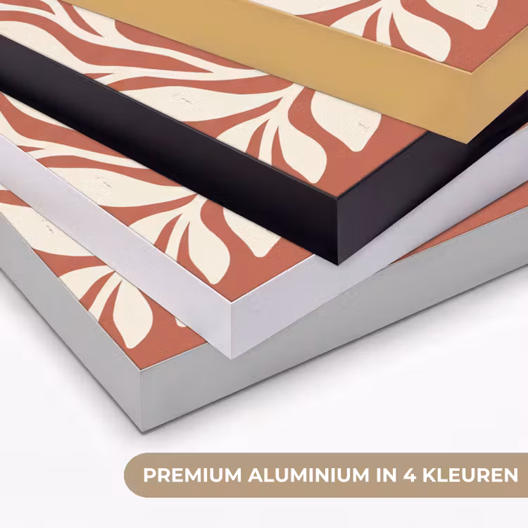 Bloemen - Abstract - Modern - Beige - Natuur Textielframe zwart klein -USP_kleurenNL