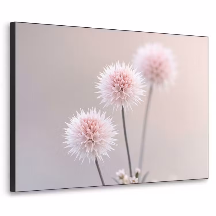 Bloemen - Bollen - Roze Textielframe zwart klein -3d