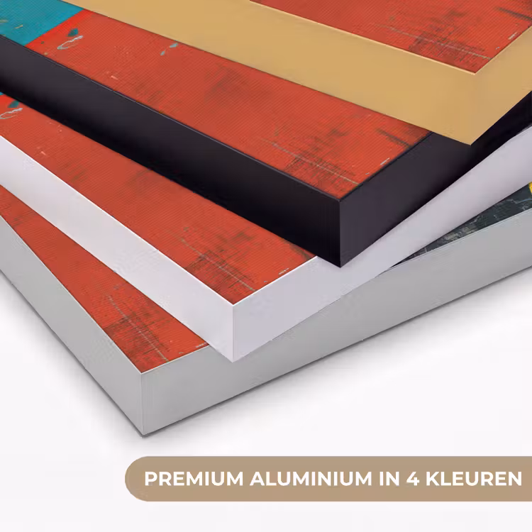 Bloemen - Felle kleuren - Grafisch - Modern Textielframe zwart klein -USP_kleurenNL