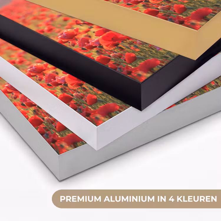 Bloemen - Klaprozen - Rood - Bloemenveld Textielframe zwart klein -USP_kleurenNL