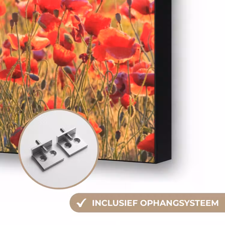 Bloemen - Klaprozen - Rood - Bloemenveld Textielframe zwart klein -USP_ophangsysteemNL