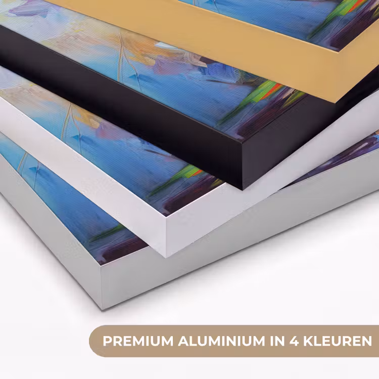Bloemen - Kleurrijk - Bloempot - Olieverf Textielframe zwart klein -USP_kleurenNL
