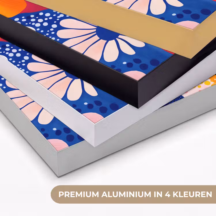 Bloemen - Kleurrijk - Stippen Textielframe zwart klein -USP_kleurenNL