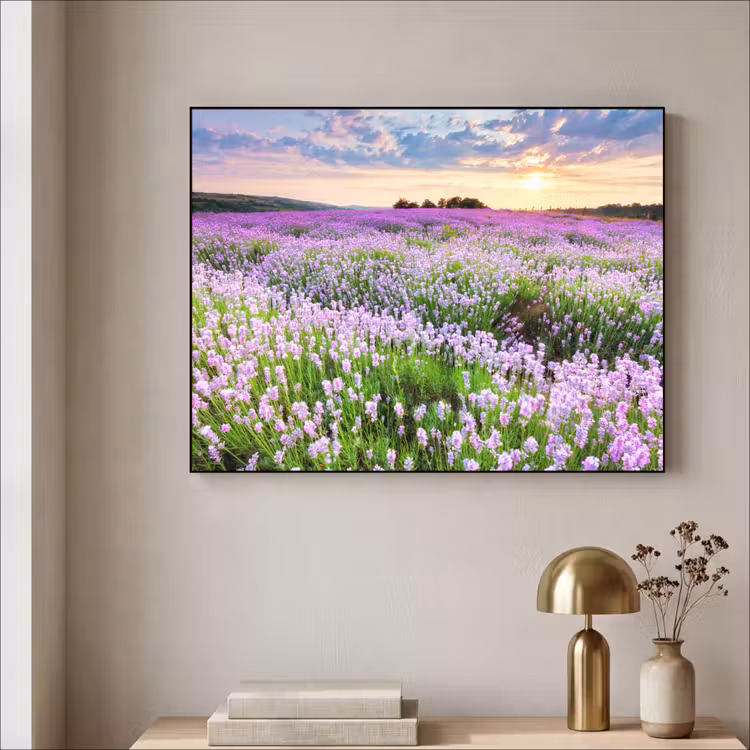 Bloemen - Lavendel - Paars - Lucht - Zonsondergang - Weide - Natuur Textielframe zwart klein -sfeer2
