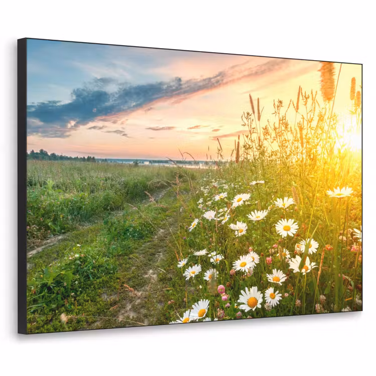 Bloemen - Madelief - Natuur - Zon - Horizon Textielframe zwart klein -3d