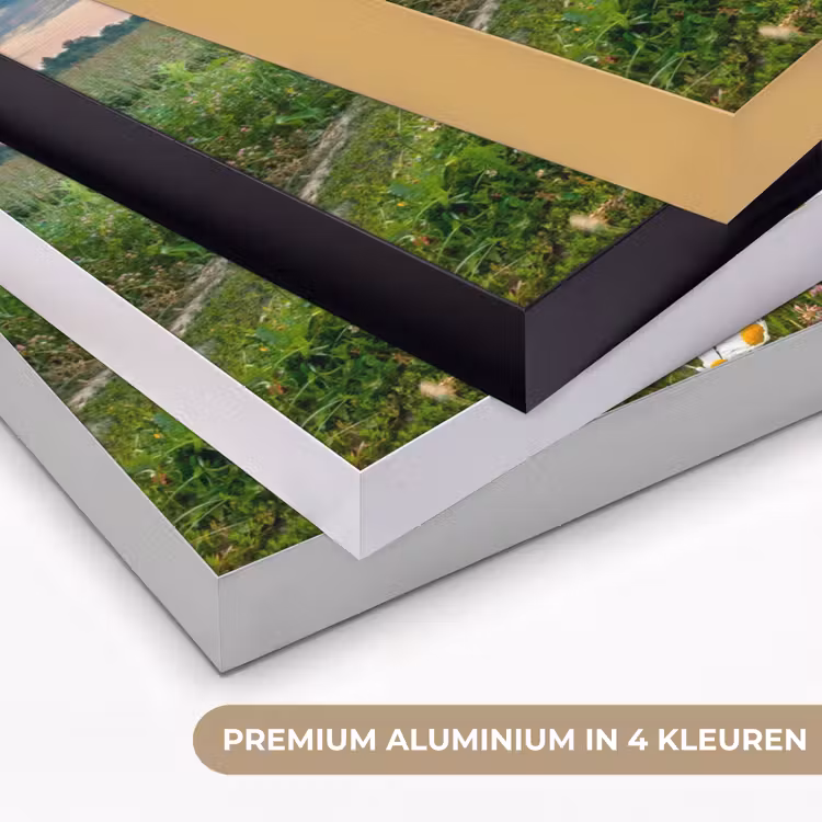 Bloemen - Madelief - Natuur - Zon - Horizon Textielframe zwart klein -USP_kleurenNL