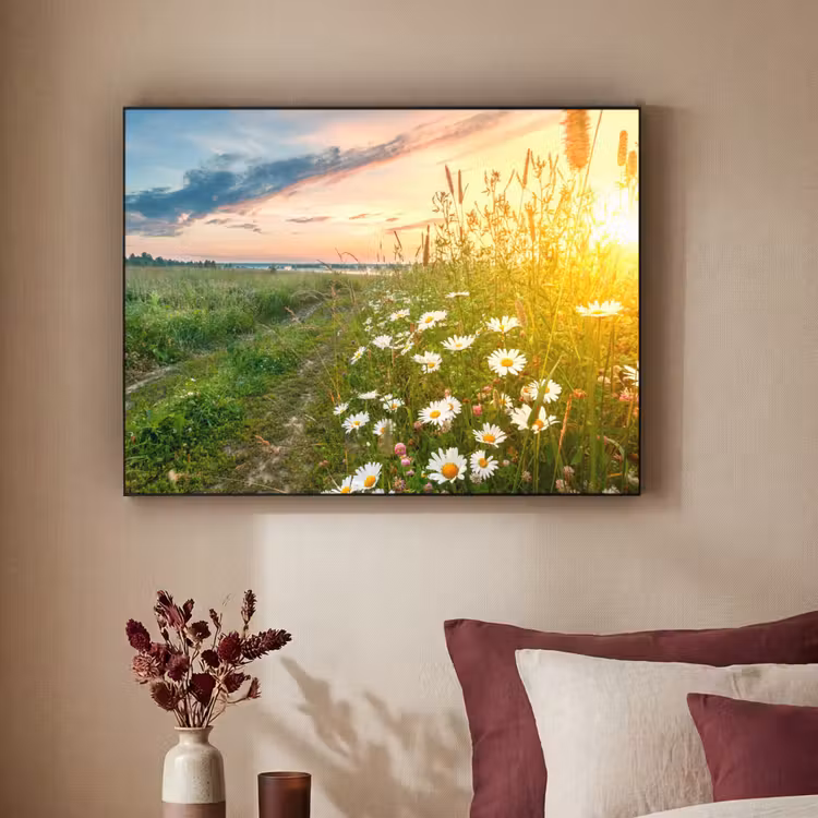 Bloemen - Madelief - Natuur - Zon - Horizon Textielframe zwart klein -sfeer1