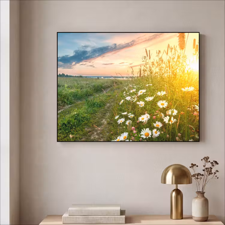 Bloemen - Madelief - Natuur - Zon - Horizon Textielframe zwart klein -sfeer2
