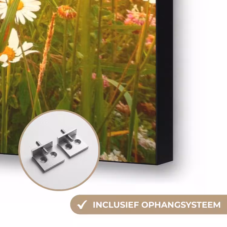 Bloemen - Madelief - Natuur - Zon - Horizon Textielframe zwart klein -USP_ophangsysteemNL