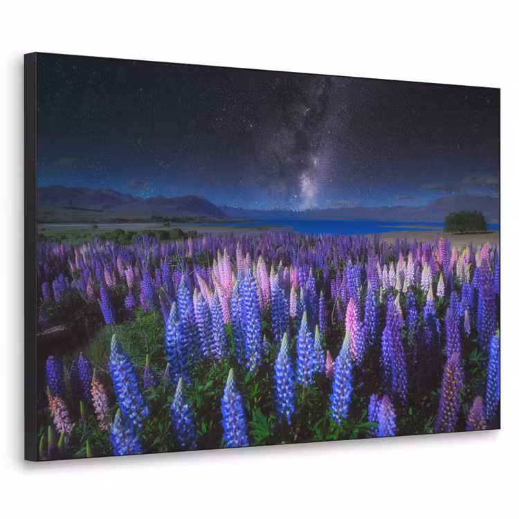 Bloemen - Nacht - Lupine - Sterrenhemel - Paars - Natuur Textielframe zwart klein -3d