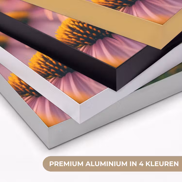 Bloemen - Paars - Bijen Textielframe zwart klein -USP_kleurenNL
