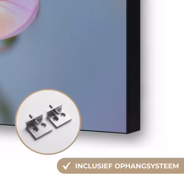 Bloemen - Paars - Overloop - Meeldraden Textielframe zwart klein -USP_ophangsysteemNL