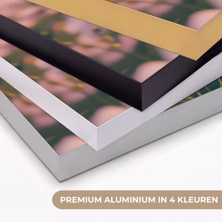 Bloemen - Paars - Wazig Textielframe zwart klein -USP_kleurenNL
