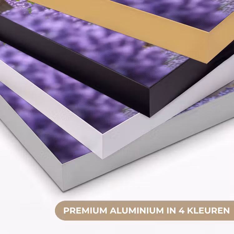Bloemen - Pad - lavendel - Tuin Textielframe zwart klein -USP_kleurenNL