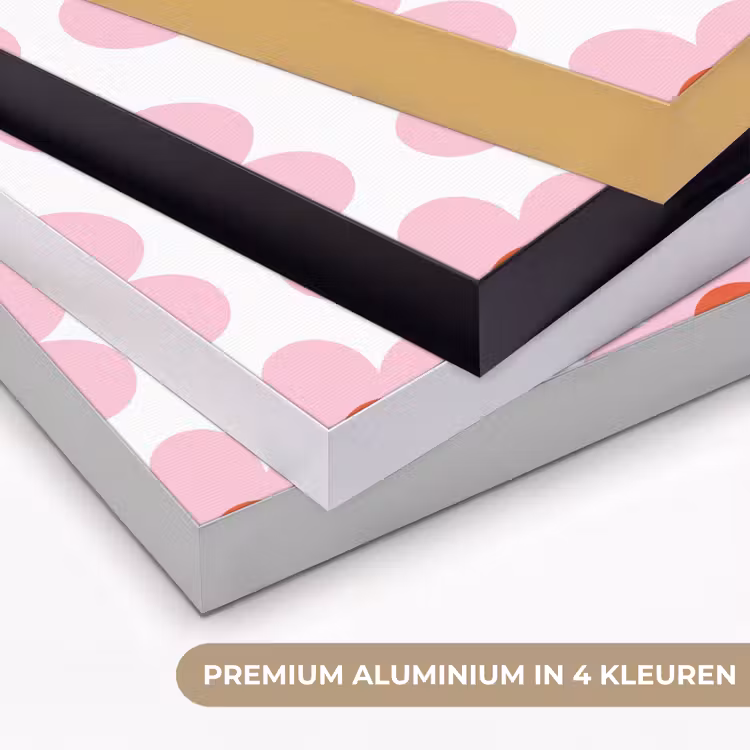 Bloemen - Patroon - Modern - Roze - Wit Textielframe zwart klein -USP_kleurenNL