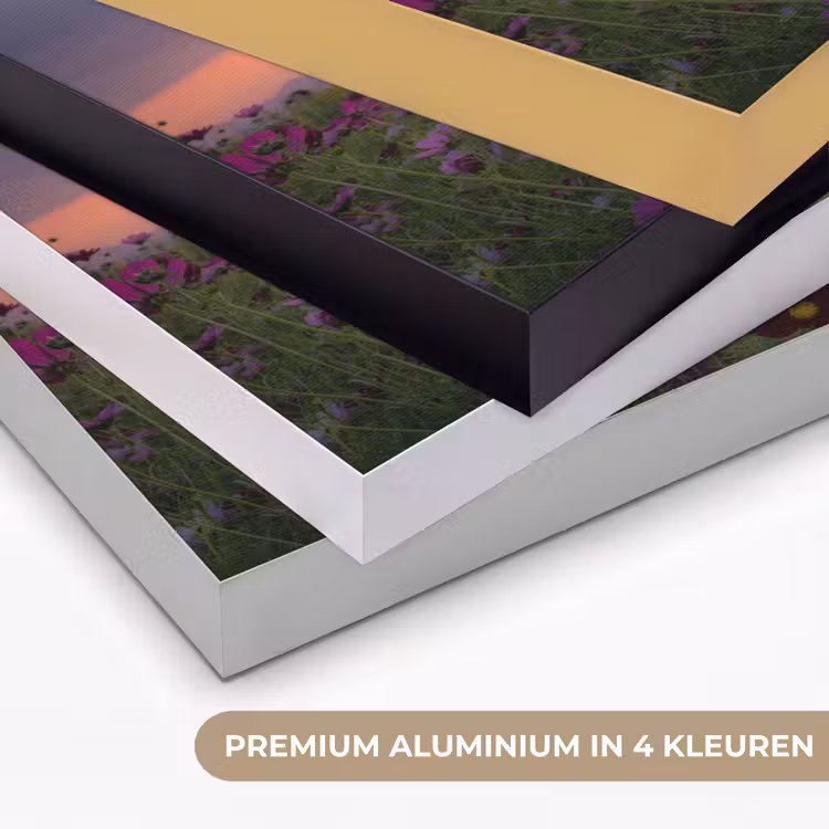 Bloemen - Roze - Zonsondergang - Natuur - Weide - Horizon Textielframe zwart klein -USP_kleurenNL