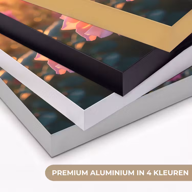 Bloemen - Rozen - Natuur - Roze - Bloem Textielframe zwart klein -USP_kleurenNL