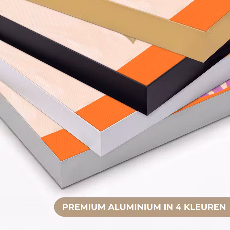 Bloemen - Vaas - Abstract - Paars - Oranje Textielframe zwart klein -USP_kleurenNL