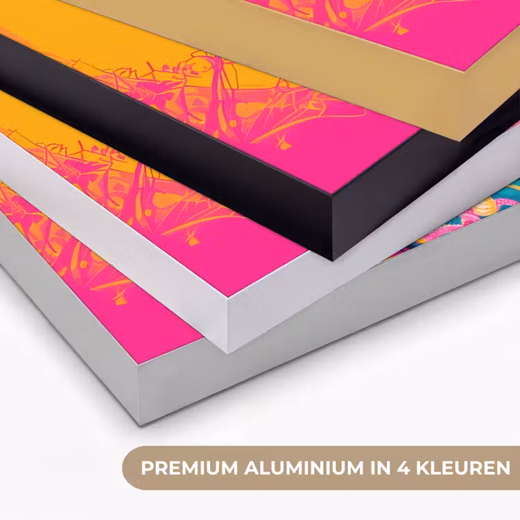 Bloemen - Vrouw - Kimono - Roze Textielframe zwart klein -USP_kleurenNL