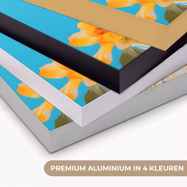 Bloemen - Vrouw - Zonnebril - Blauw Textielframe zwart klein -USP_kleurenNL