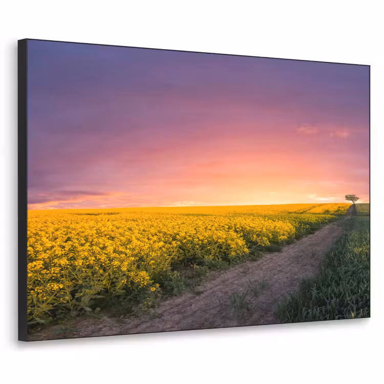 Bloemen - Weg - Lucht - Geel - Paars - Zonsondergang - Natuur Textielframe zwart klein -3d