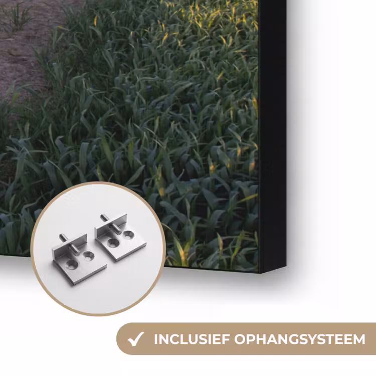 Bloemen - Weg - Lucht - Geel - Paars - Zonsondergang - Natuur Textielframe zwart klein -USP_ophangsysteemNL