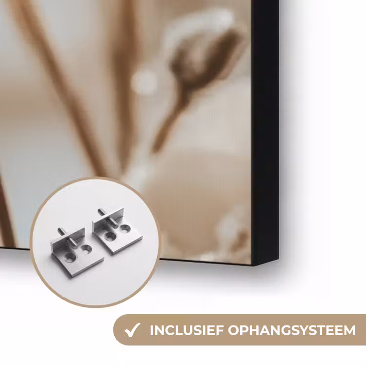 Bloemen - Winter - Wit - Sneeuw - Beige Textielframe zwart klein -USP_ophangsysteemNL