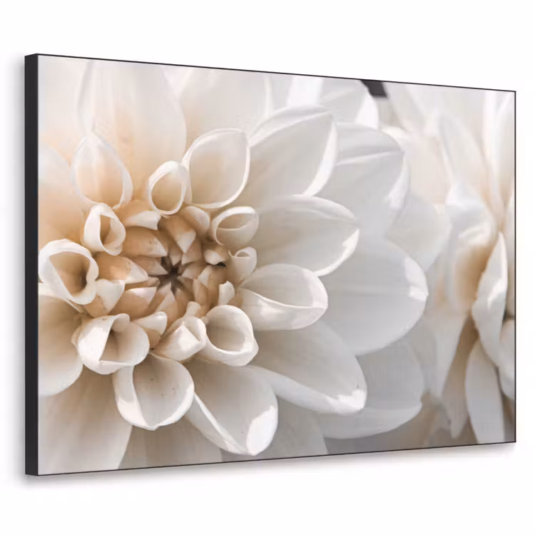 Bloemen - Wit - Natuur Textielframe zwart klein -3d