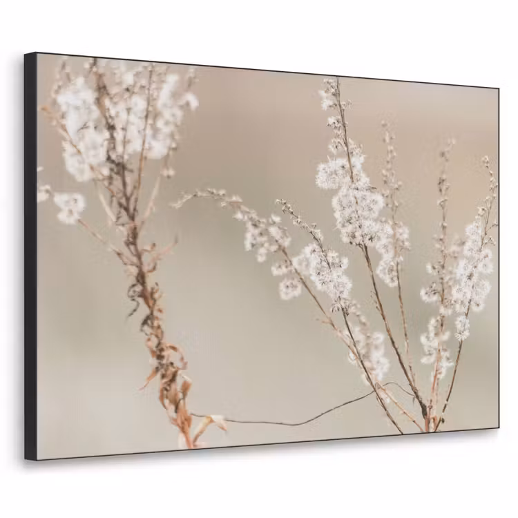 Bloemen - Wit - Planten Textielframe zwart klein -3d