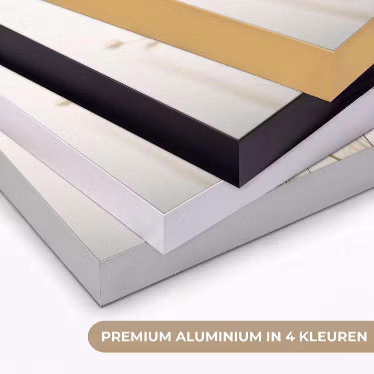 Bloemen - Wit - Zonlicht Textielframe zwart klein -USP_kleurenNL