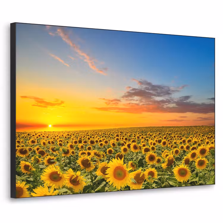 Bloemen - Zonnebloem - Zonsondergang - Nacht - Oranje Textielframe zwart klein -3d