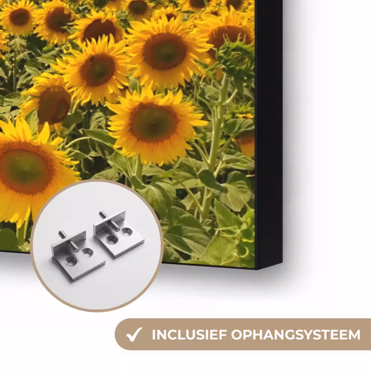 Bloemen - Zonnebloem - Zonsondergang - Nacht - Oranje Textielframe zwart klein -USP_ophangsysteemNL