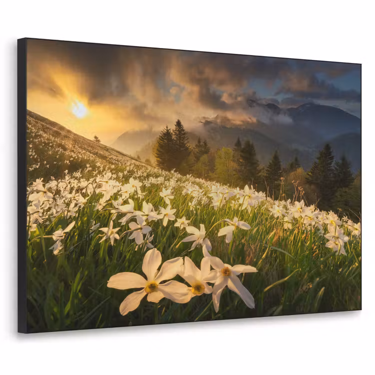 Bloemenveld - Heuvels - Zonsondergang - Berg - Natuur - Wit - Heuvels Textielframe zwart klein -3d