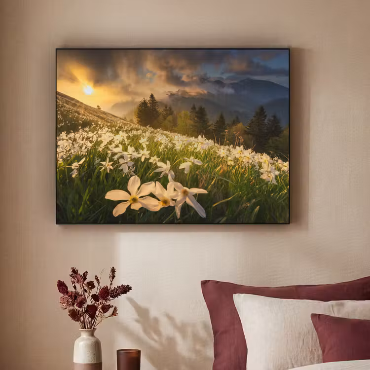 Bloemenveld - Heuvels - Zonsondergang - Berg - Natuur - Wit - Heuvels Textielframe zwart klein -sfeer1