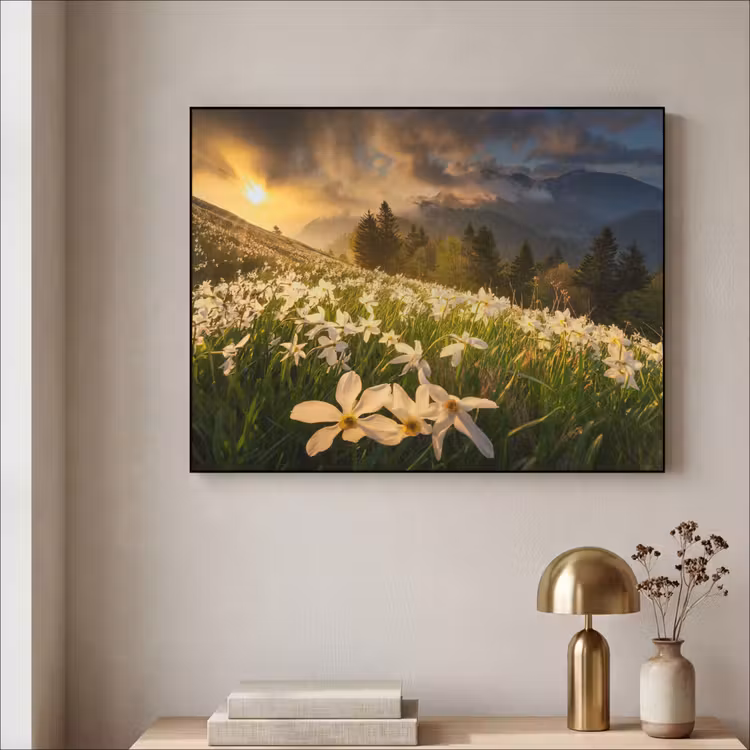 Bloemenveld - Heuvels - Zonsondergang - Berg - Natuur - Wit - Heuvels Textielframe zwart klein -sfeer2