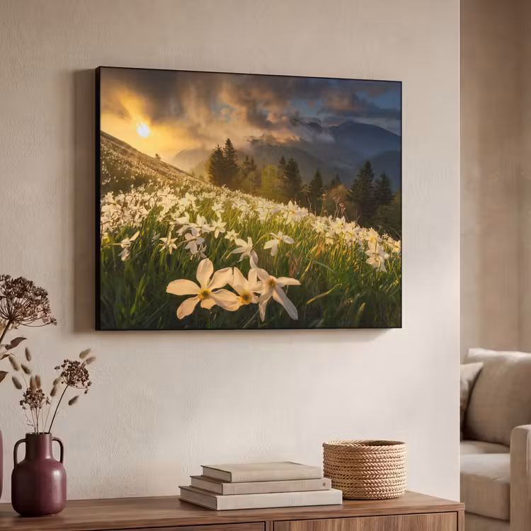 Bloemenveld - Heuvels - Zonsondergang - Berg - Natuur - Wit - Heuvels Textielframe zwart klein -sfeer3