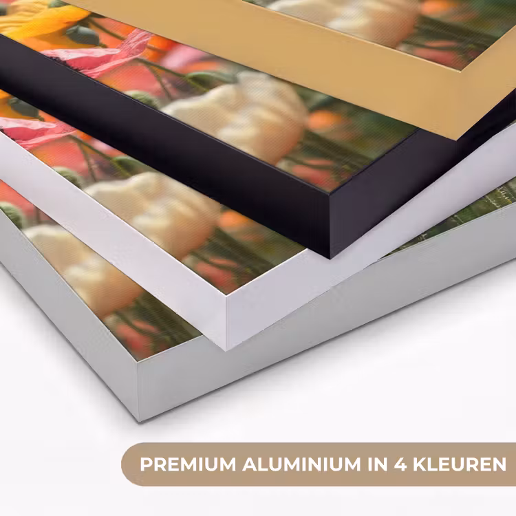 Bloemenveld - Klaprozen - Kleurrijk Textielframe zwart klein -USP_kleurenNL