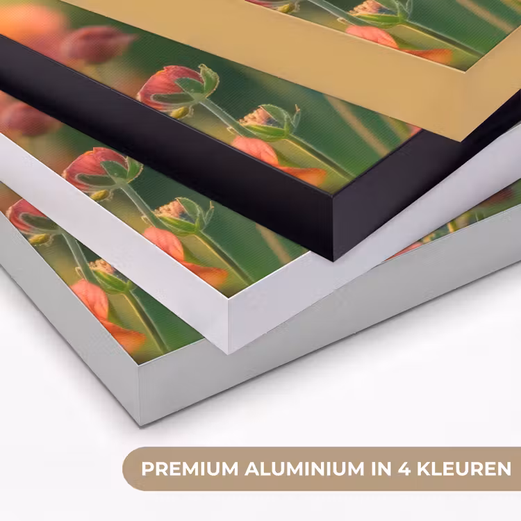 Bloemenveld - Zonnestralen - Oranje Textielframe zwart klein -USP_kleurenNL