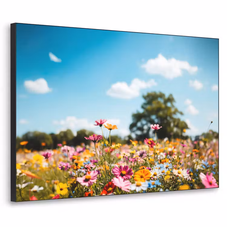 Bloemenweide - Blauw - Lucht - Kleuren Textielframe - compleet frame klein -3d