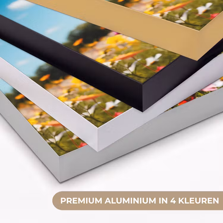 Bloemenweide - Blauw - Lucht - Kleuren Textielframe zwart klein -USP_kleurenNL