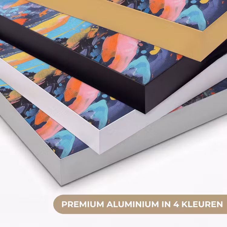 Bloemexplosie - Felle spatten - Dynamisch Textielframe zwart klein -USP_kleurenNL