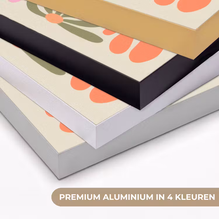 Bloemvormen - Retro - Kleurrijk Textielframe zwart klein -USP_kleurenNL